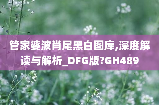 管家婆波肖尾黑白图库,深度解读与解析_DFG版?GH489