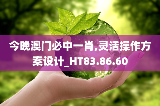 今晚澳门必中一肖,灵活操作方案设计_HT83.86.60