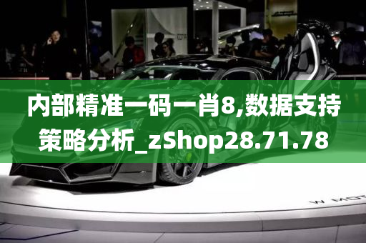 内部精准一码一肖8,数据支持策略分析_zShop28.71.78