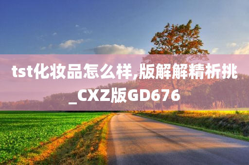 tst化妆品怎么样,版解解精析挑_CXZ版GD676