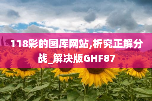 118彩的图库网站,析究正解分战_解决版GHF87