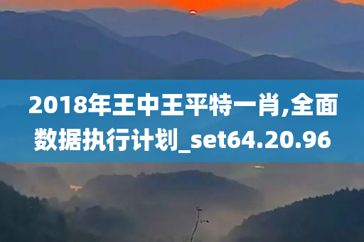 2018年王中王平特一肖,全面数据执行计划_set64.20.96