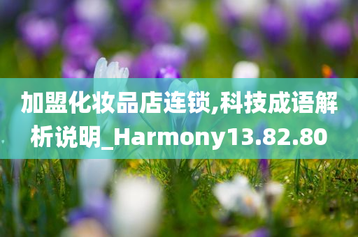 加盟化妆品店连锁,科技成语解析说明_Harmony13.82.80