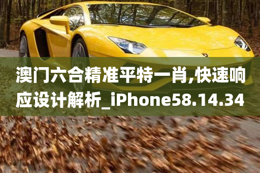 澳门六合精准平特一肖,快速响应设计解析_iPhone58.14.34