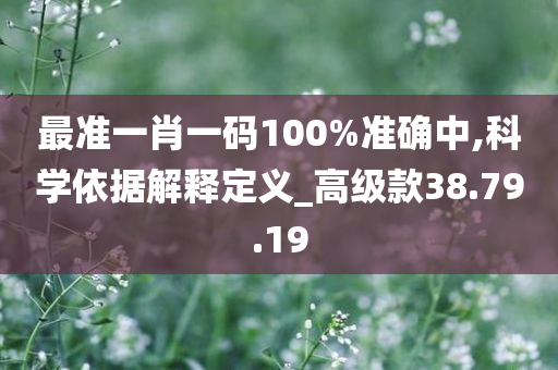 最准一肖一码100%准确中,科学依据解释定义_高级款38.79.19