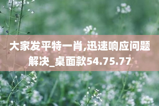 大家发平特一肖,迅速响应问题解决_桌面款54.75.77