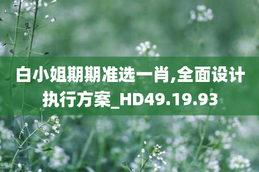 白小姐期期准选一肖,全面设计执行方案_HD49.19.93