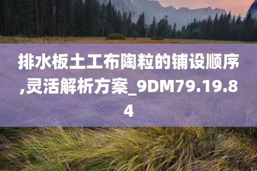 排水板土工布陶粒的铺设顺序,灵活解析方案_9DM79.19.84