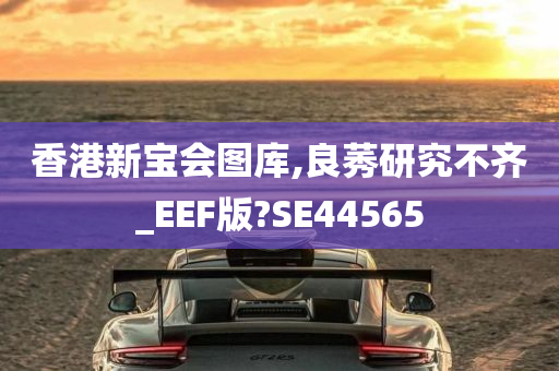 香港新宝会图库,良莠研究不齐_EEF版?SE44565