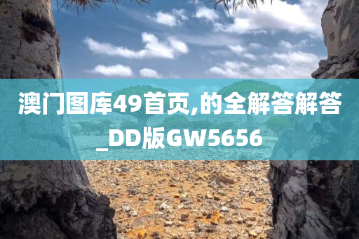 澳门图库49首页,的全解答解答_DD版GW5656