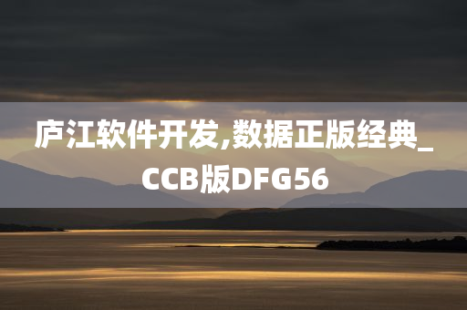 庐江软件开发,数据正版经典_CCB版DFG56