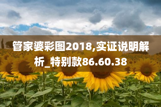 管家婆彩图2018,实证说明解析_特别款86.60.38