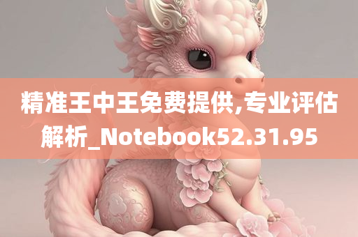 精准王中王免费提供,专业评估解析_Notebook52.31.95