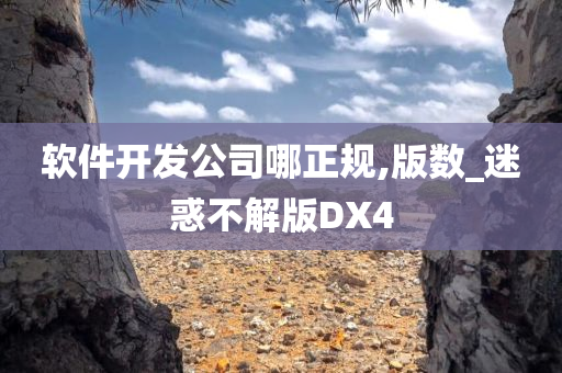 软件开发公司哪正规,版数_迷惑不解版DX4