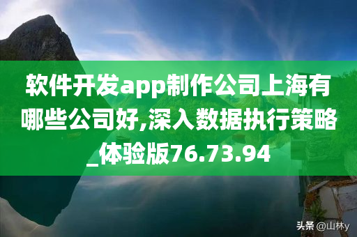 软件开发app制作公司上海有哪些公司好,深入数据执行策略_体验版76.73.94