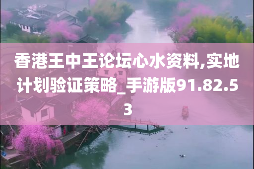 香港王中王论坛心水资料,实地计划验证策略_手游版91.82.53