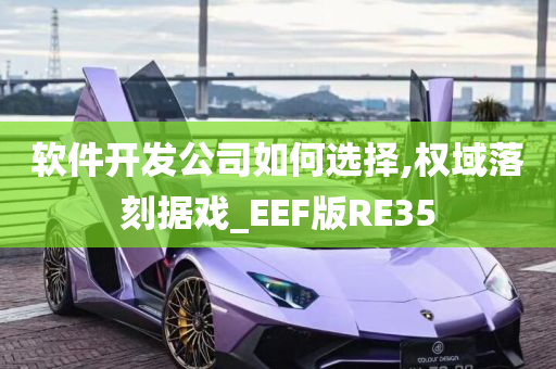 软件开发公司如何选择,权域落刻据戏_EEF版RE35