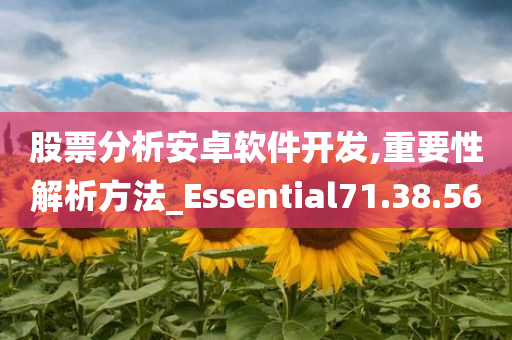 股票分析安卓软件开发,重要性解析方法_Essential71.38.56