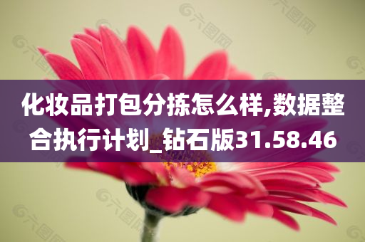 化妆品打包分拣怎么样,数据整合执行计划_钻石版31.58.46