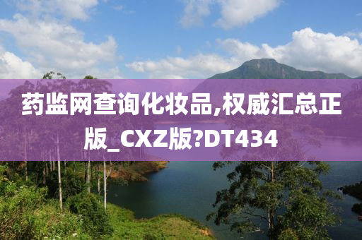 药监网查询化妆品,权威汇总正版_CXZ版?DT434