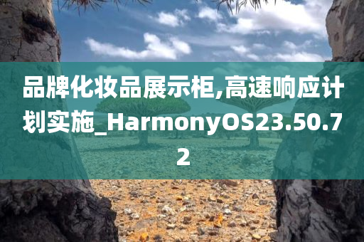 品牌化妆品展示柜,高速响应计划实施_HarmonyOS23.50.72