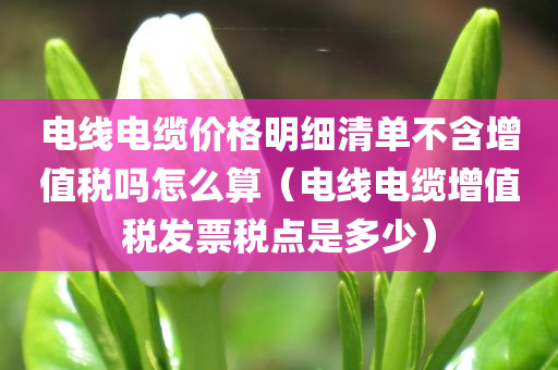 电线电缆价格明细清单不含增值税吗怎么算（电线电缆增值税发票税点是多少）