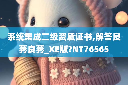 系统集成二级资质证书,解答良莠良莠_XE版?NT76565