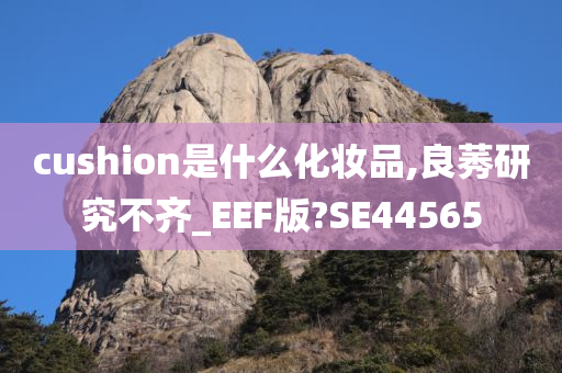 cushion是什么化妆品,良莠研究不齐_EEF版?SE44565