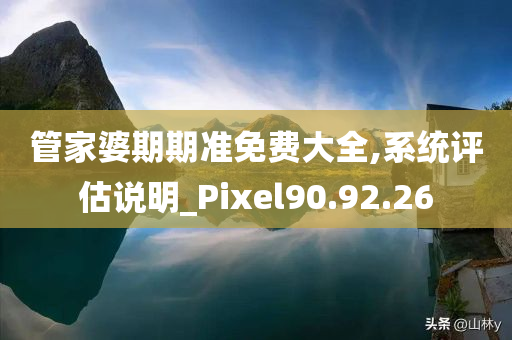 管家婆期期准免费大全,系统评估说明_Pixel90.92.26