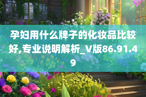 孕妇用什么牌子的化妆品比较好,专业说明解析_V版86.91.49