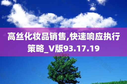 高丝化妆品销售,快速响应执行策略_V版93.17.19