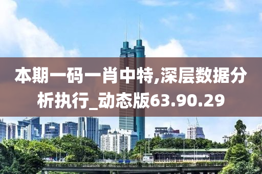 本期一码一肖中特,深层数据分析执行_动态版63.90.29