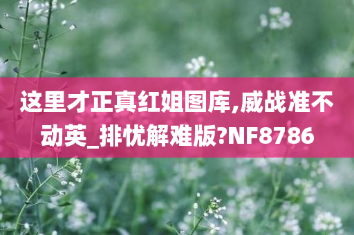 这里才正真红姐图库,威战准不动英_排忧解难版?NF8786