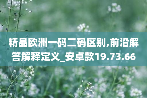 精品欧洲一码二码区别,前沿解答解释定义_安卓款19.73.66