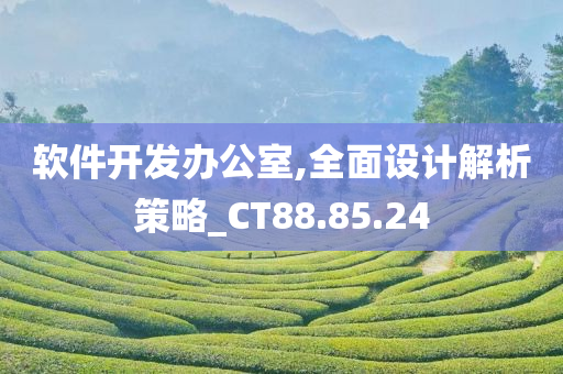 软件开发办公室,全面设计解析策略_CT88.85.24