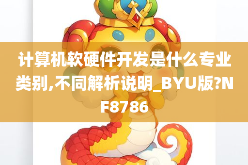 计算机软硬件开发是什么专业类别,不同解析说明_BYU版?NF8786