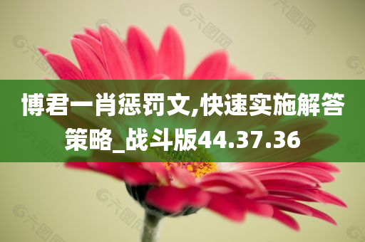 博君一肖惩罚文,快速实施解答策略_战斗版44.37.36