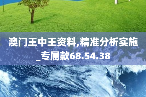 澳门王中王资料,精准分析实施_专属款68.54.38