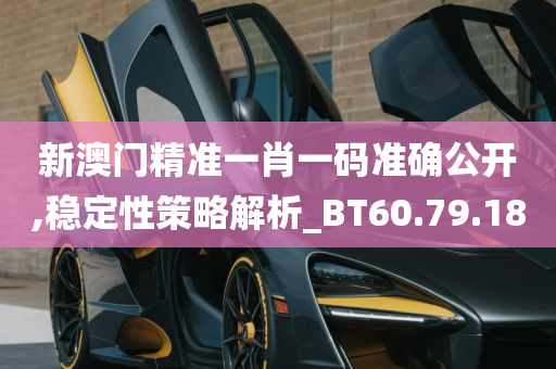 新澳门精准一肖一码准确公开,稳定性策略解析_BT60.79.18