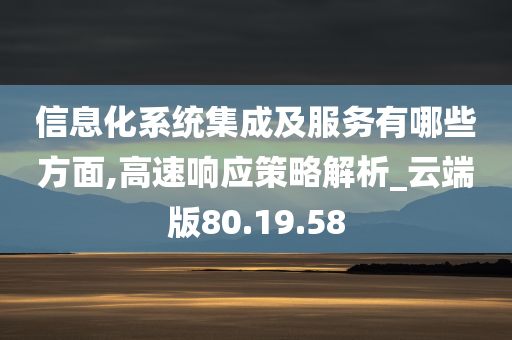 信息化系统集成及服务有哪些方面,高速响应策略解析_云端版80.19.58