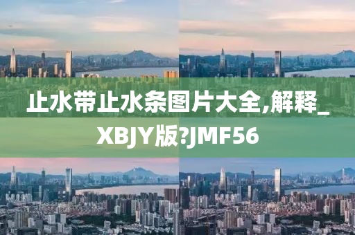 止水带止水条图片大全,解释_XBJY版?JMF56