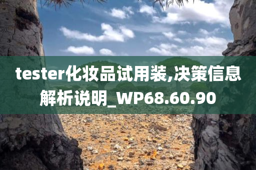 tester化妆品试用装,决策信息解析说明_WP68.60.90