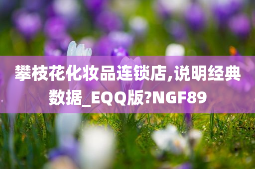 攀枝花化妆品连锁店,说明经典数据_EQQ版?NGF89