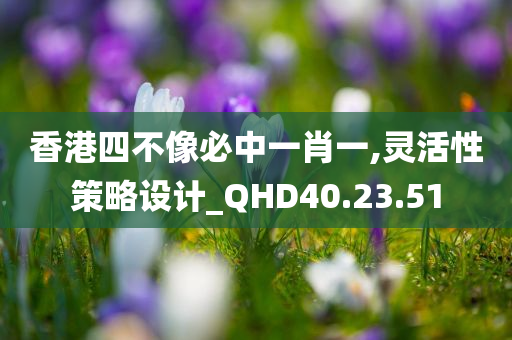 香港四不像必中一肖一,灵活性策略设计_QHD40.23.51