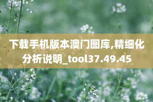 下载手机版本澳门图库,精细化分析说明_tool37.49.45