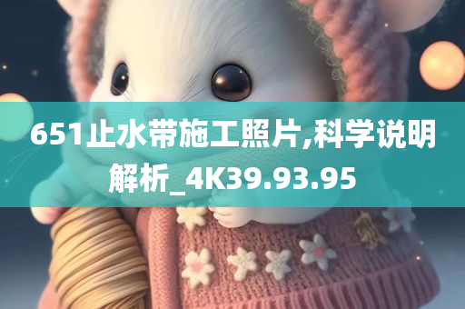 651止水带施工照片,科学说明解析_4K39.93.95