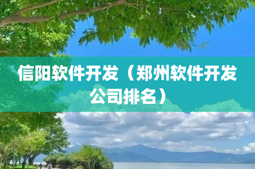 信阳软件开发（郑州软件开发公司排名）