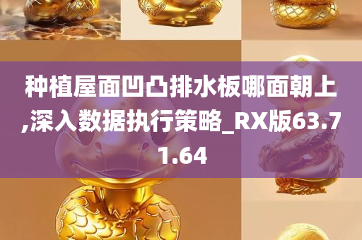 种植屋面凹凸排水板哪面朝上,深入数据执行策略_RX版63.71.64