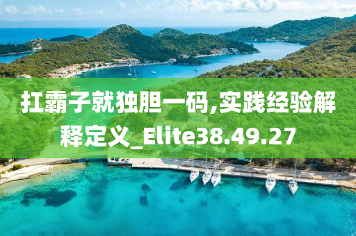 扛霸子就独胆一码,实践经验解释定义_Elite38.49.27