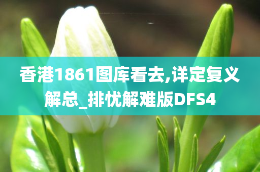 香港1861图库看去,详定复义解总_排忧解难版DFS4